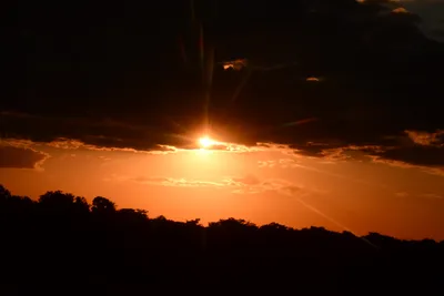 DSC_9725 (Large).JPG